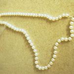 257 5041 Collier